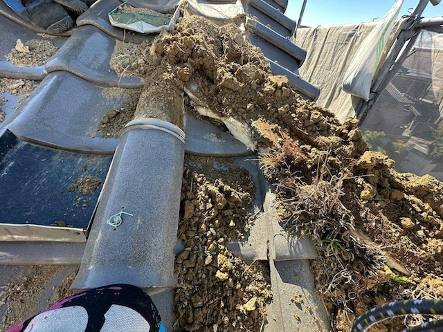 棟取り直し・撤去中